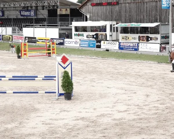 Reitturnier Humlikon 2020