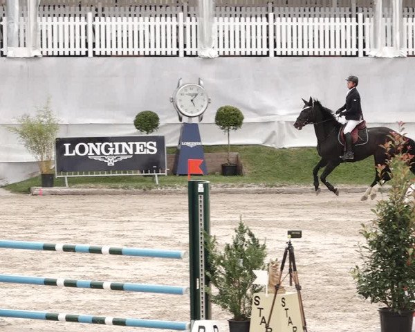 Reitturnier Humlikon 2020