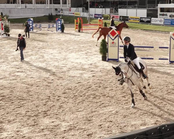 Reitturnier Humlikon 2020