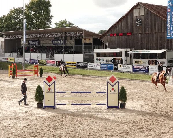 Reitturnier Humlikon 2020