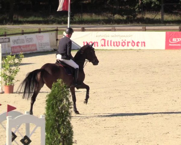 Reitturnier Westergellersen 2020