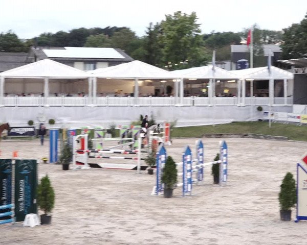 Reitturnier Humlikon 2020