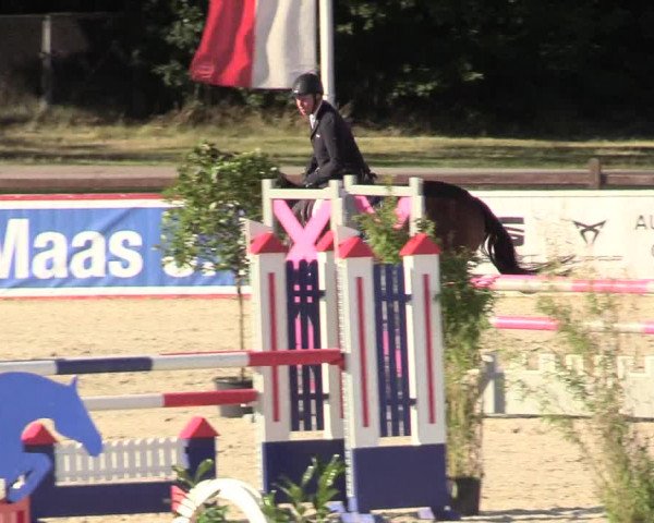 Reitturnier Westergellersen 2020