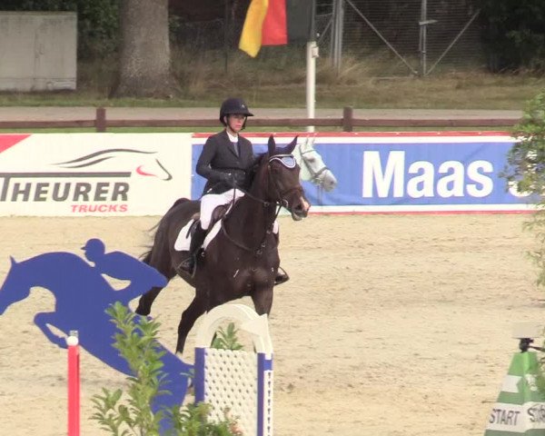 Reitturnier Westergellersen 2020