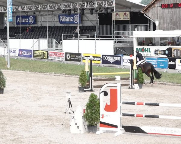 Reitturnier Humlikon 2020