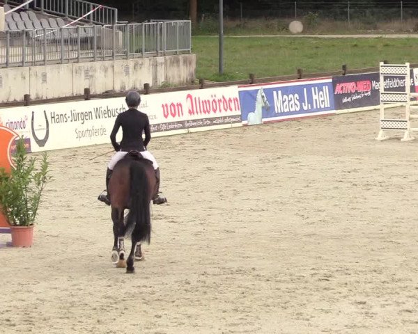 Reitturnier Westergellersen 2020