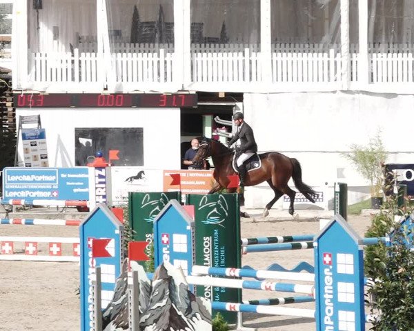 Reitturnier Humlikon 2020