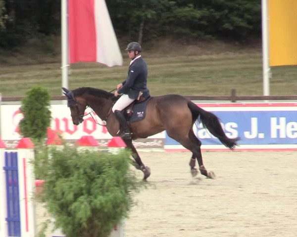Reitturnier Westergellersen 2020