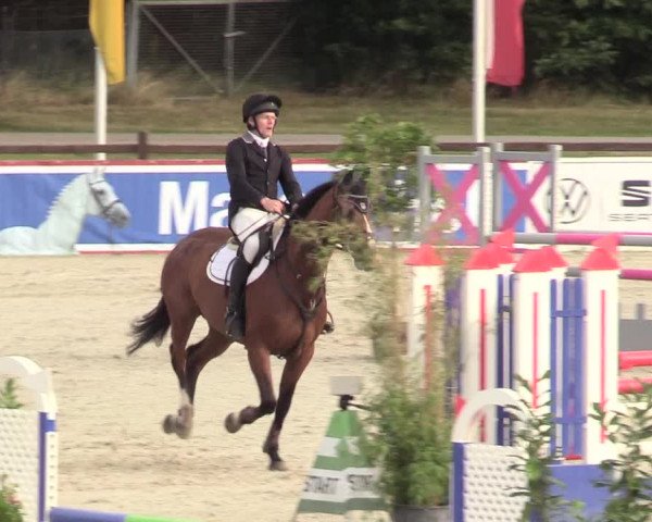 Reitturnier Westergellersen 2020