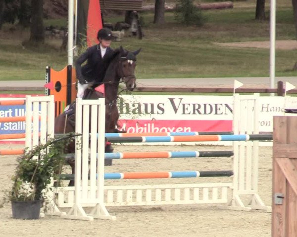 Reitturnier Westergellersen 2020