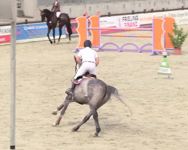 Reitturnier Westergellersen 2020