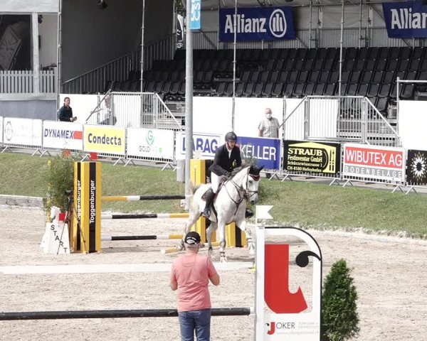 Reitturnier Humlikon 2020