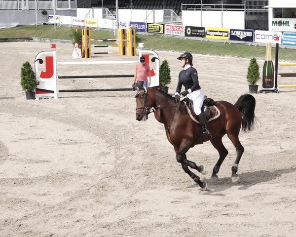 Reitturnier Humlikon 2020
