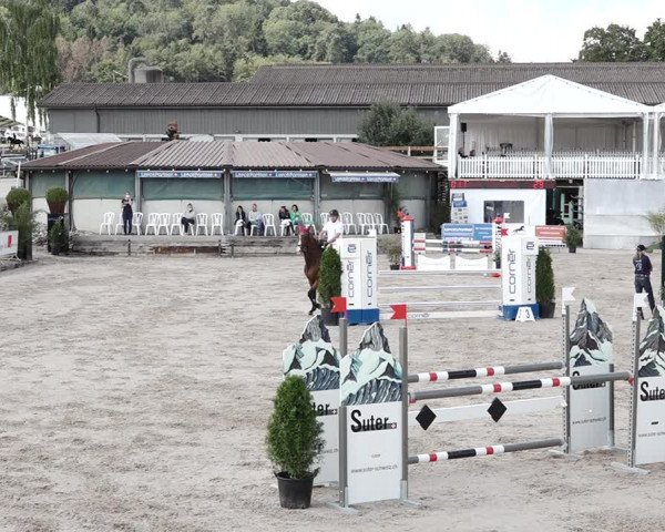 Reitturnier Humlikon 2020