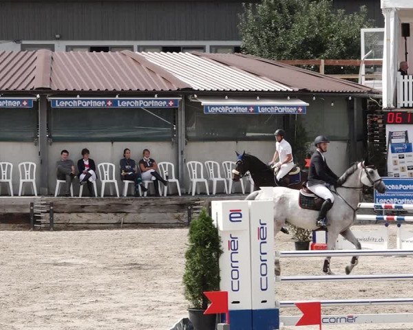 Reitturnier Humlikon 2020