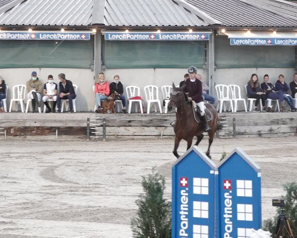 Reitturnier Humlikon 2020