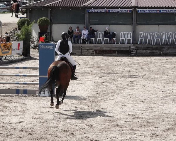 Reitturnier Humlikon 2020