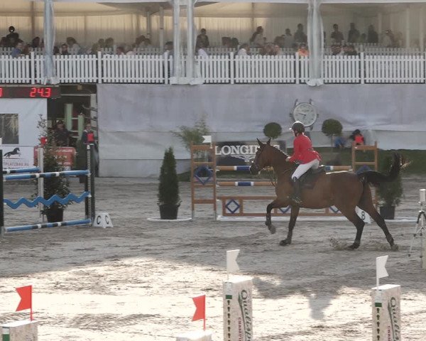 Reitturnier Humlikon 2020
