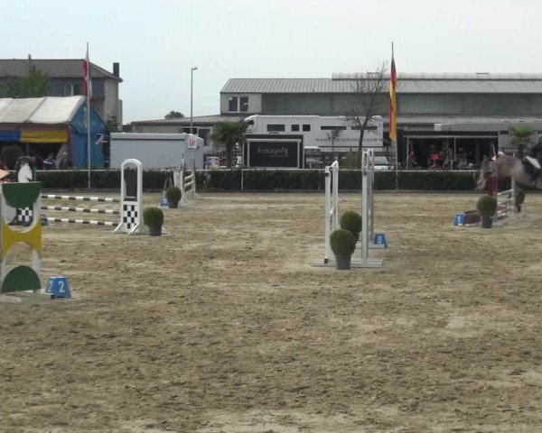 Reitturnier Bornheim-Widdig 2020
