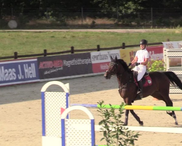 Reitturnier Westergellersen 2020