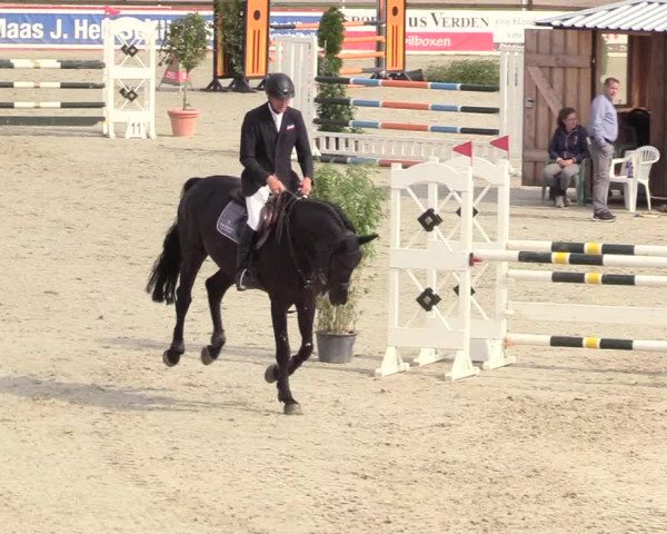 Reitturnier Westergellersen 2020