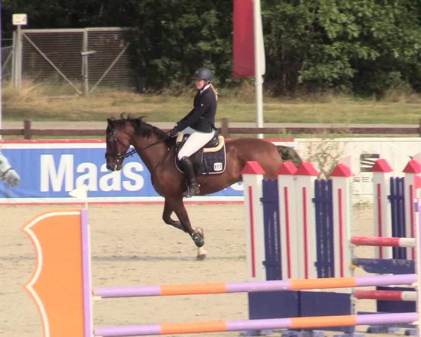 Reitturnier Westergellersen 2020