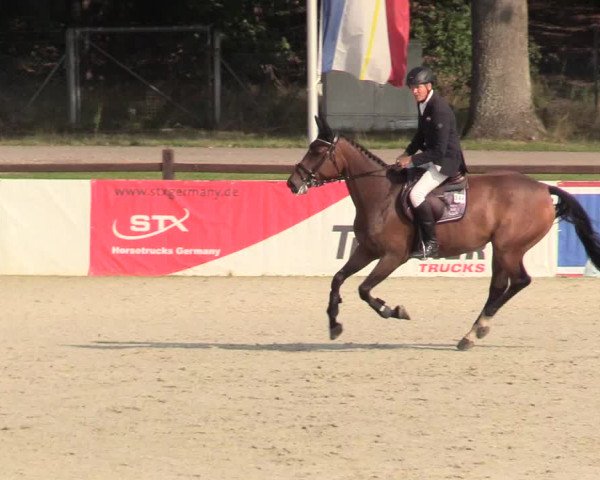 Reitturnier Westergellersen 2020