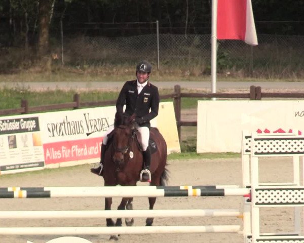 Reitturnier Westergellersen 2020
