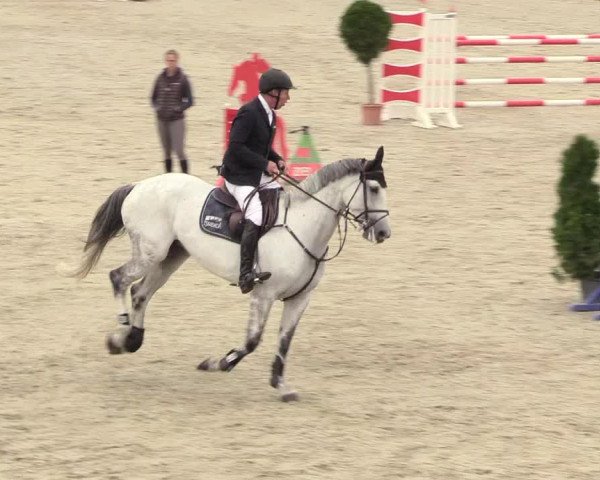 Reitturnier Westergellersen 2020