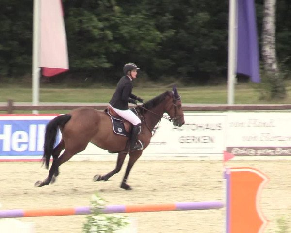 Reitturnier Westergellersen 2020
