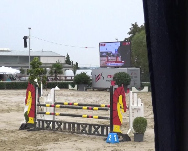 Reitturnier Bornheim-Widdig 2020
