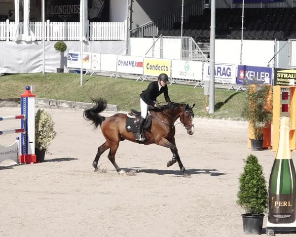 Reitturnier Humlikon 2020