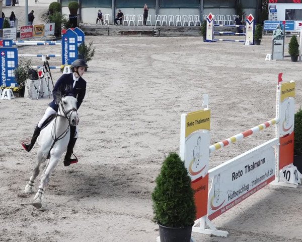Reitturnier Humlikon 2020