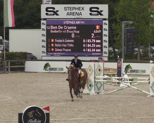 Belgisch Kampioenschap 4-5 Jarigen Paarden