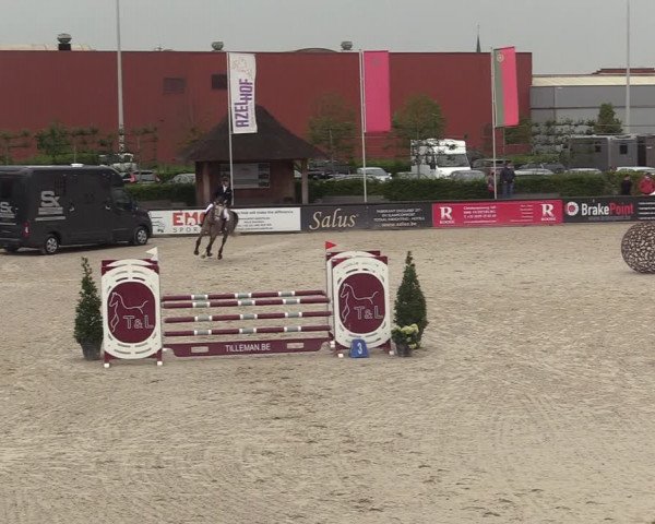 Belgisch Kampioenschap 4-5 Jarigen Paarden