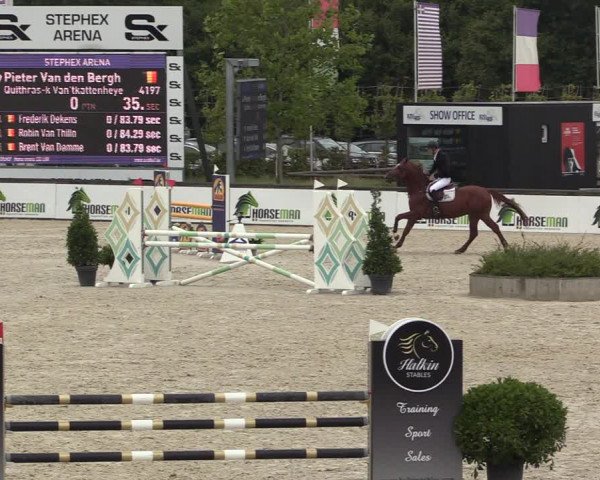 Belgisch Kampioenschap 4-5 Jarigen Paarden
