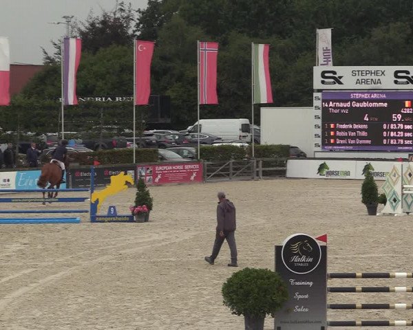Belgisch Kampioenschap 4-5 Jarigen Paarden