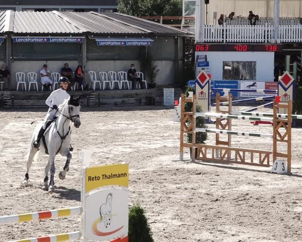 Reitturnier Humlikon 2020
