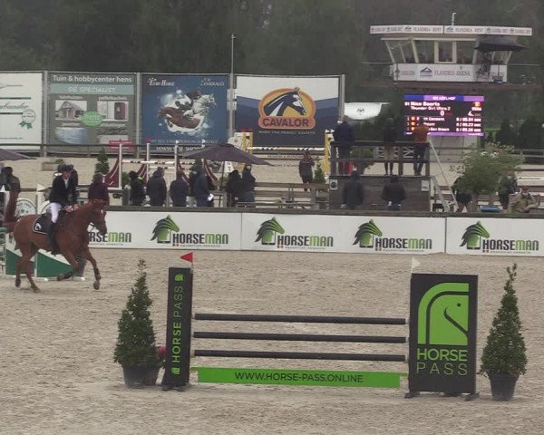 Belgisch Kampioenschap 4-5 Jarigen Paarden