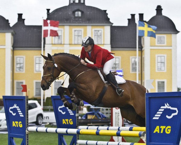Springpferd Larido (Rheinländer, 2001, von Larioni)