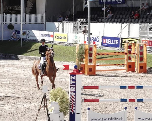 Reitturnier Humlikon 2020