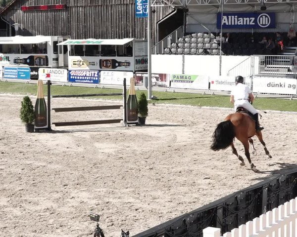 Reitturnier Humlikon 2020