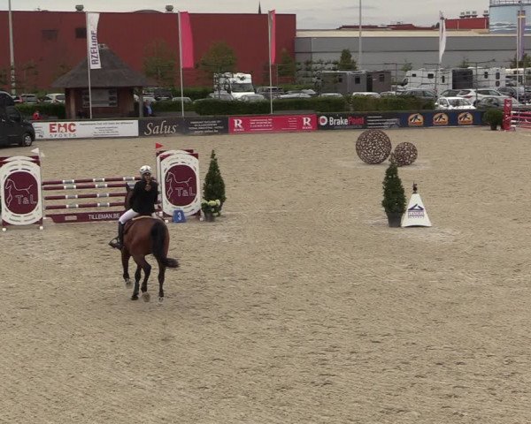 Belgisch Kampioenschap 4-5 Jarigen Paarden