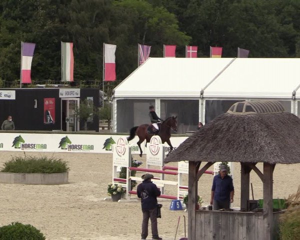 Belgisch Kampioenschap 4-5 Jarigen Paarden
