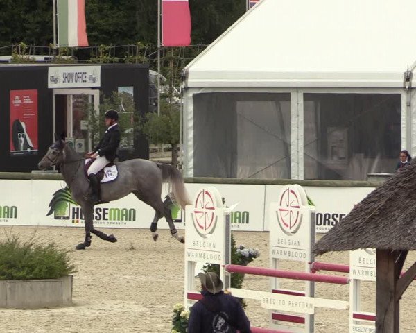 Belgisch Kampioenschap 4-5 Jarigen Paarden