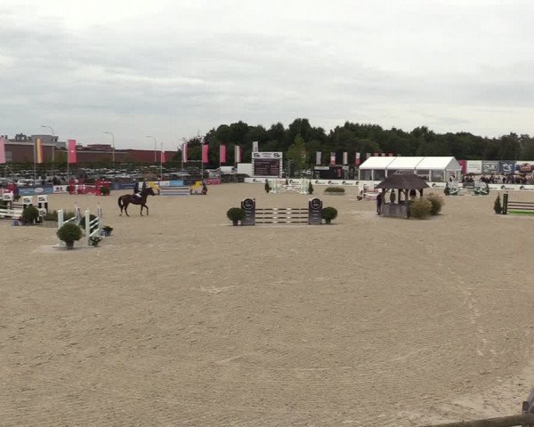 Belgisch Kampioenschap 4-5 Jarigen Paarden