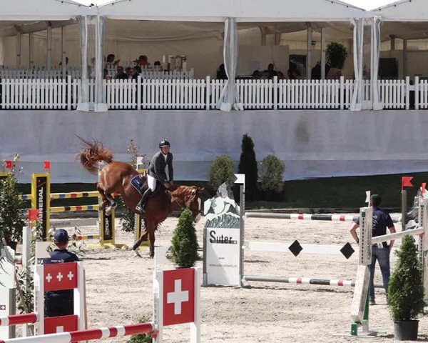 Reitturnier Humlikon 2020