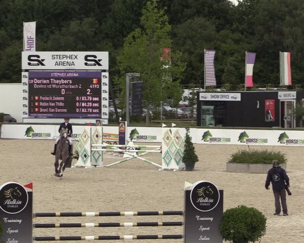 Belgisch Kampioenschap 4-5 Jarigen Paarden