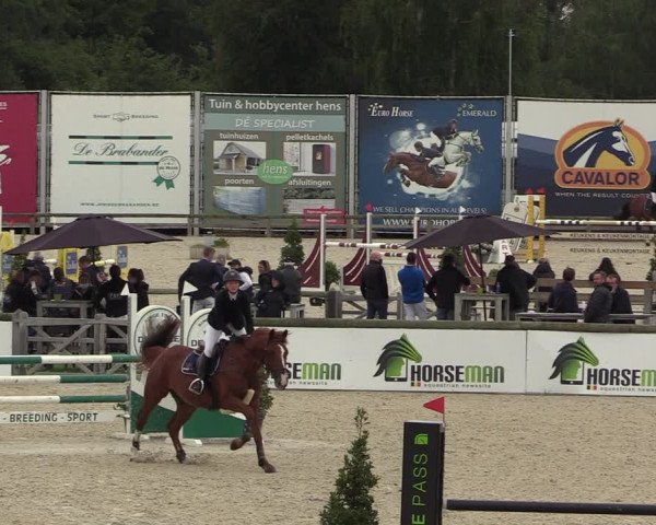 Belgisch Kampioenschap 4-5 Jarigen Paarden