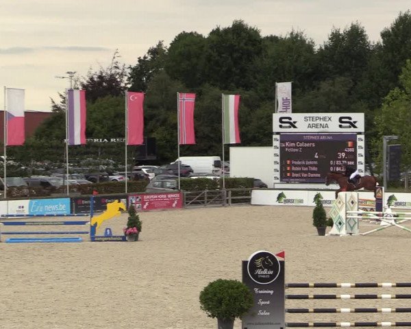 Belgisch Kampioenschap 4-5 Jarigen Paarden